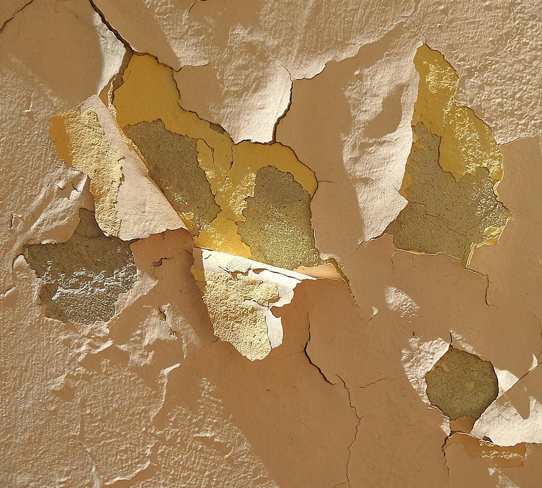 pexels c 2180548 33634506 (1)